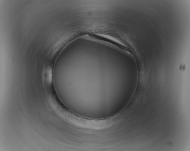 X0000113050027200908271541