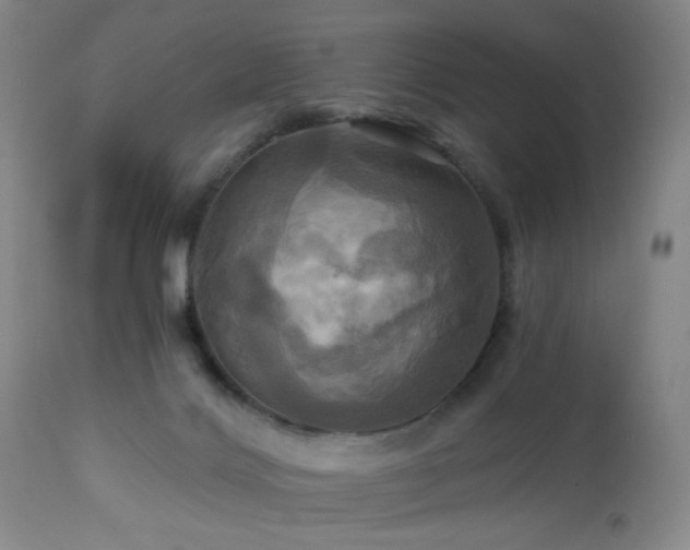 X0000113050028200908271541