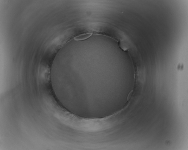 X0000113050029200908271541