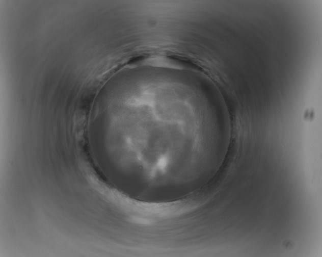 X0000113050030200908271541