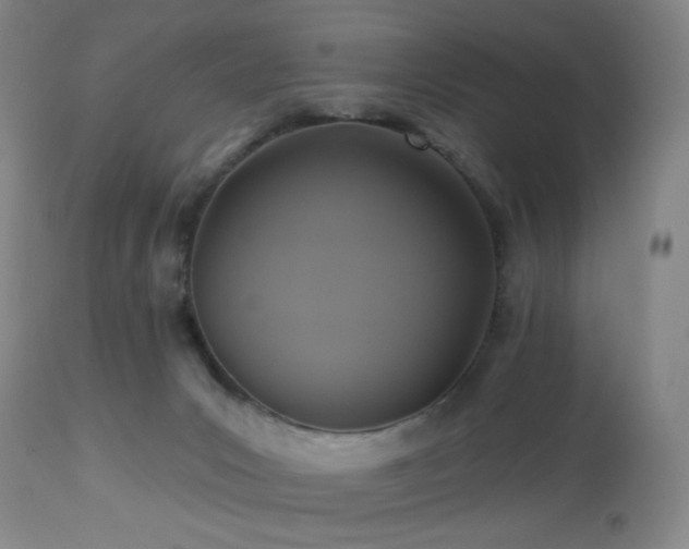 X0000113050031200908271541