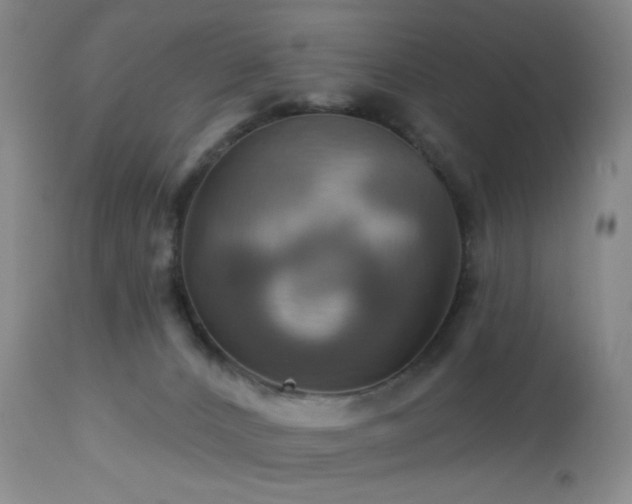 X0000113050032200908271541