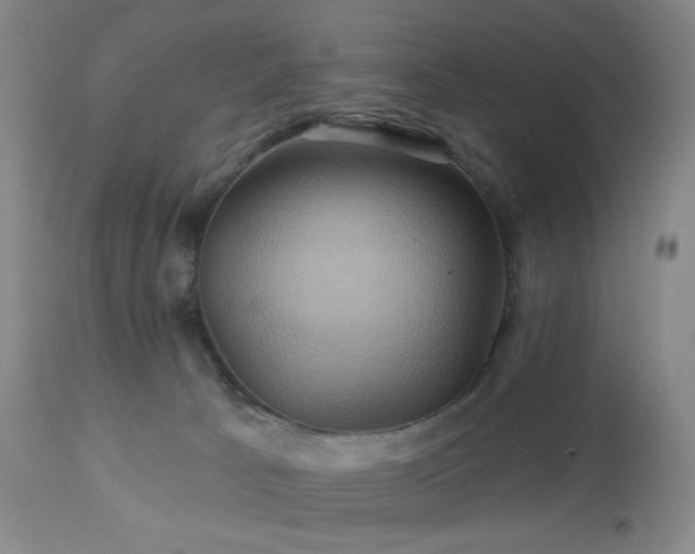 X0000113050033200908271541