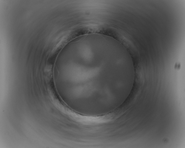 X0000113050034200908271541