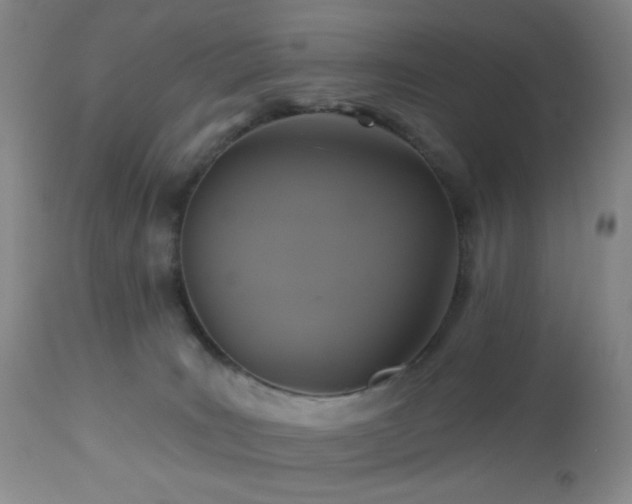 X0000113050035200908271541