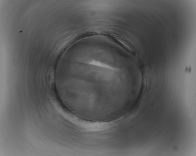 X0000113050036200908271541