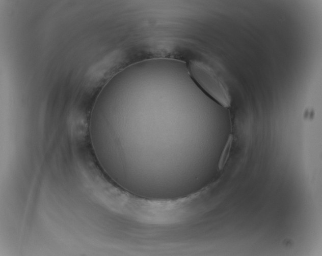 X0000113050037200908271541