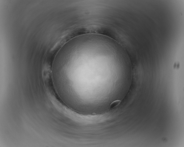 X0000113050038200908271541