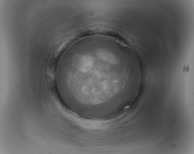 X0000113050040200908271541