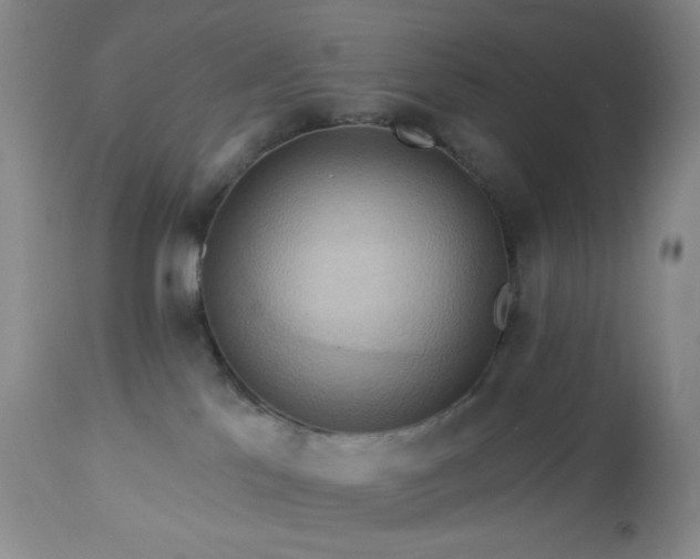 X0000113050041200908271541