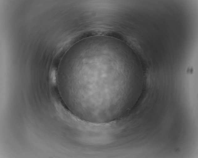 X0000113050042200908271541