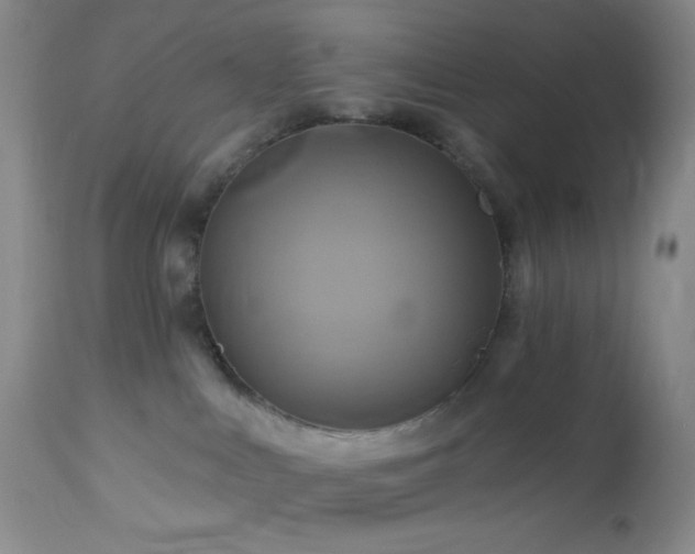 X0000113050043200908271541