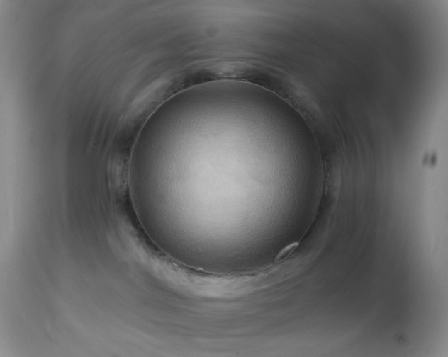 X0000113050044200908271541