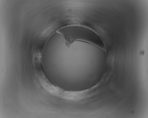 X0000113050045200908271541