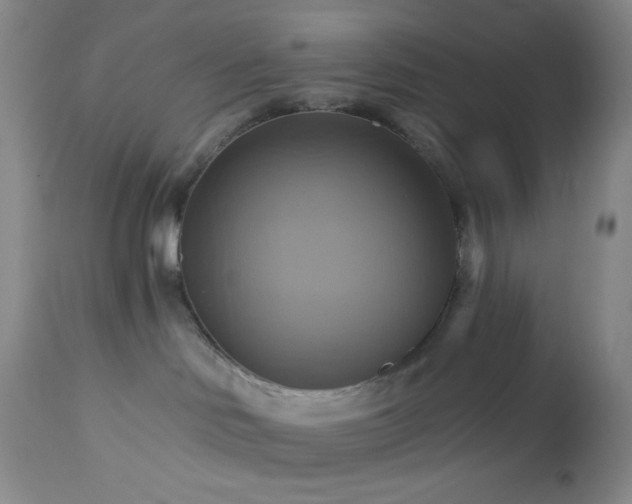 X0000113050046200908271541