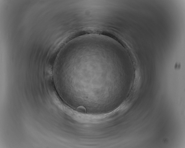 X0000113050048200908271541