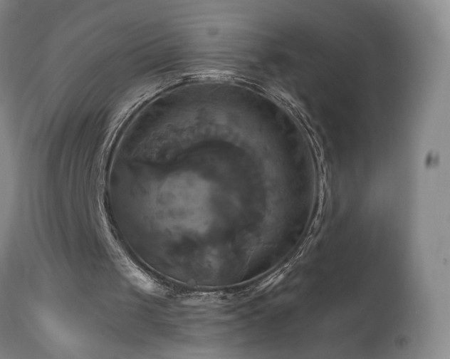 X0000113050049200908271540