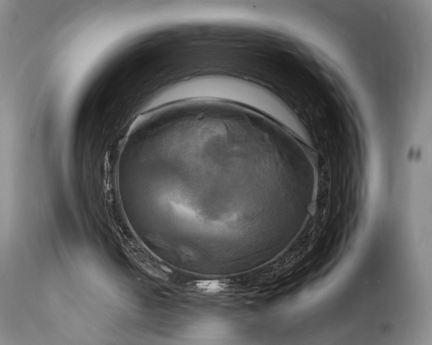 X0000113050050200908271540