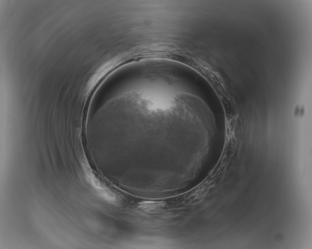 X0000113050051200908271540