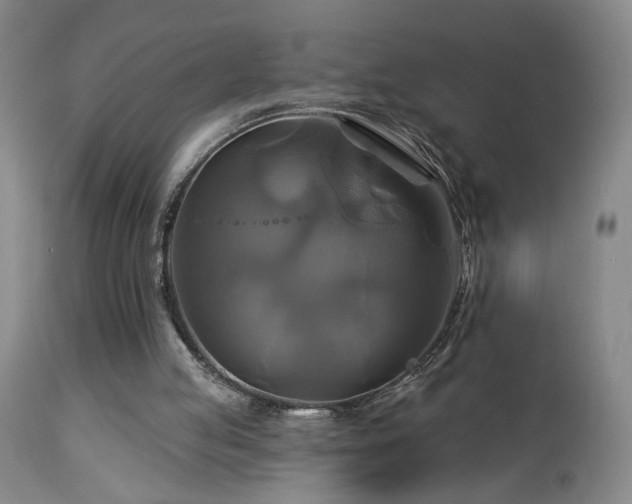 X0000113050053200908271540