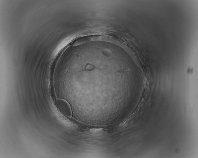 X0000113050054200908271540