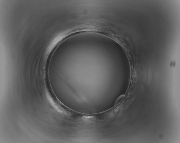 X0000113050055200908271540