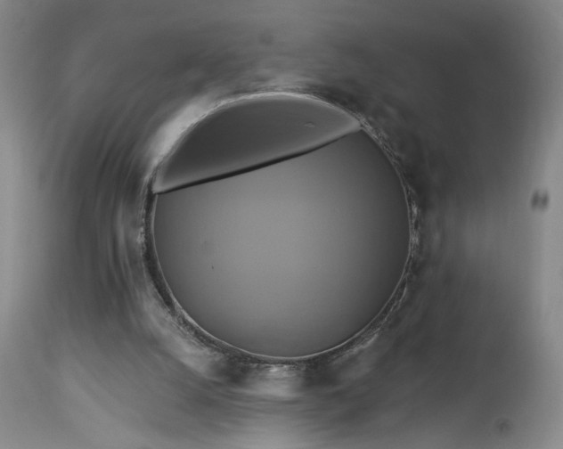 X0000113050056200908271540