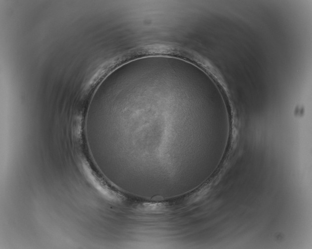 X0000113050057200908271540