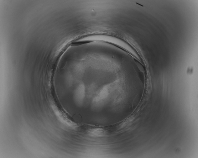 X0000113050058200908271540