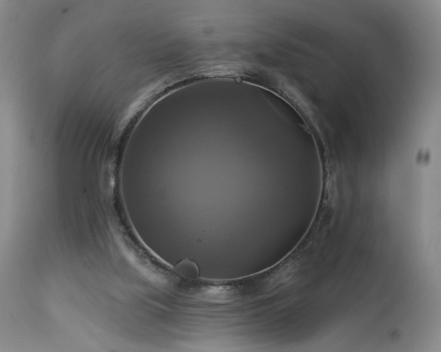 X0000113050059200908271540