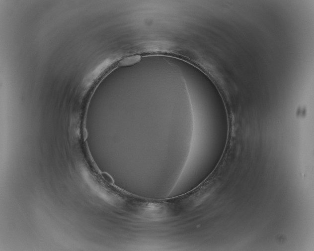 X0000113050060200908271540