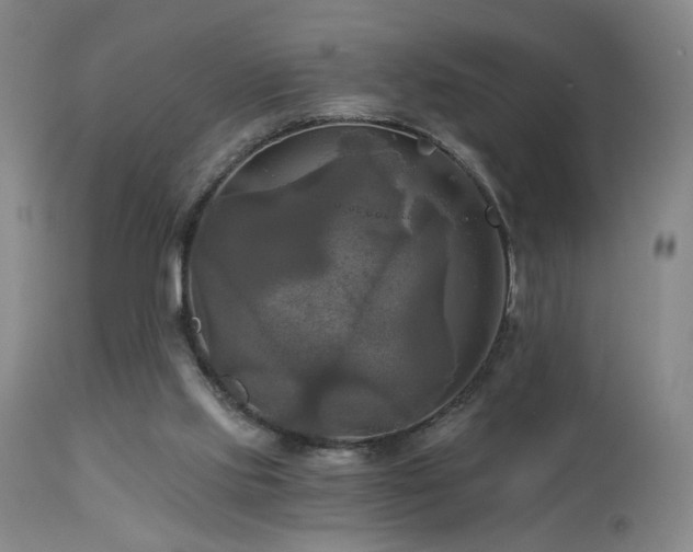 X0000113050061200908271540