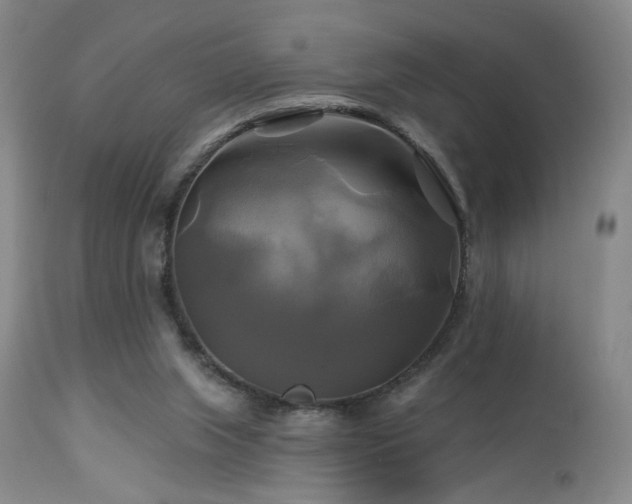 X0000113050063200908271540