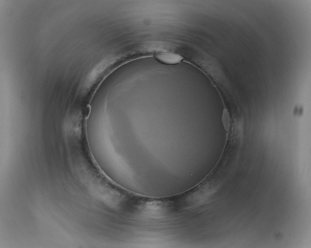 X0000113050064200908271540