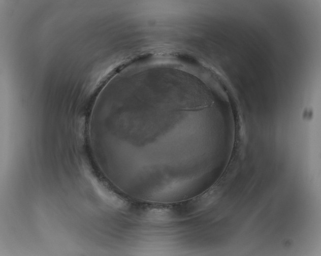 X0000113050066200908271541