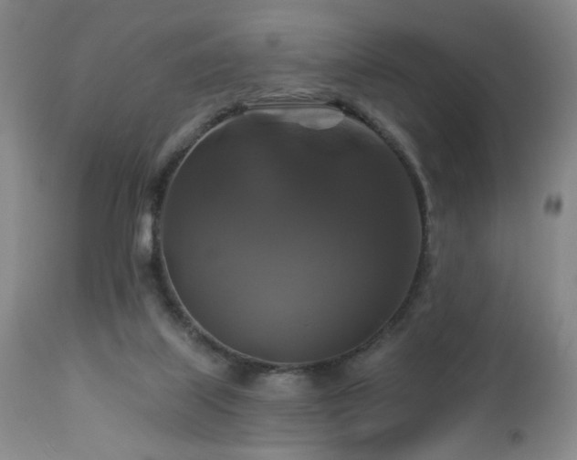 X0000113050067200908271541