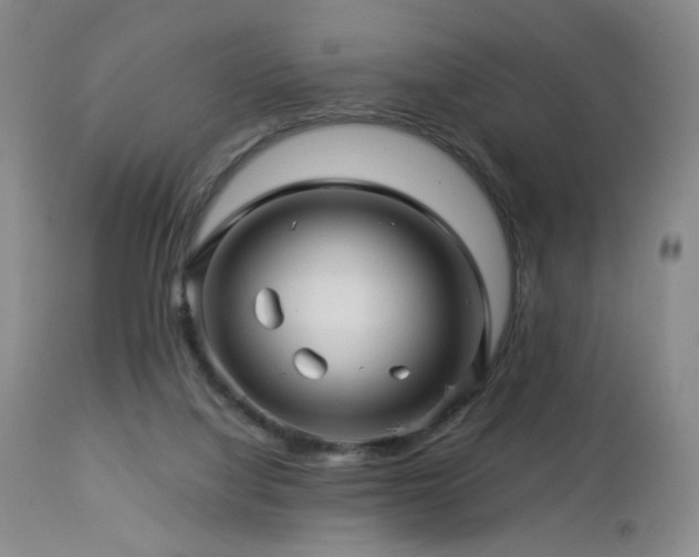 X0000113050068200908271541