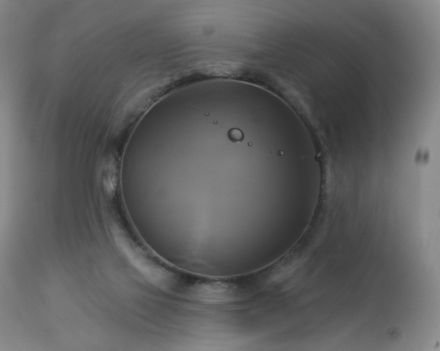 X0000113050069200908271541