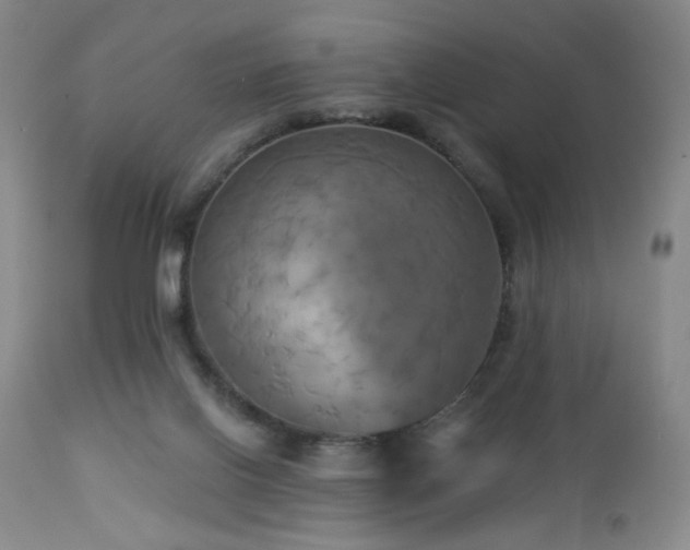 X0000113050070200908271541