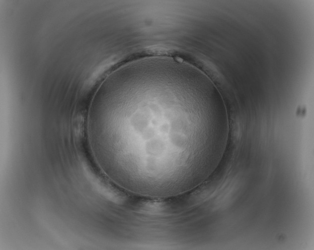 X0000113050071200908271541