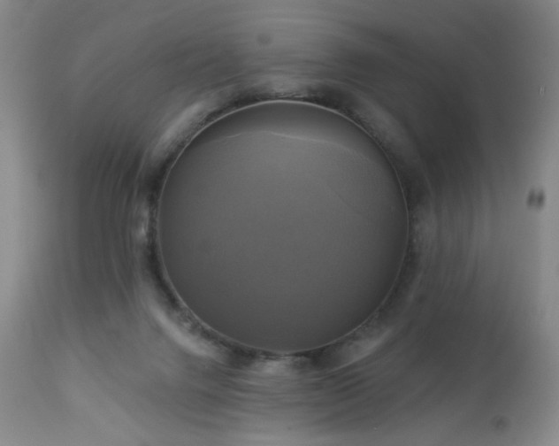 X0000113050072200908271541