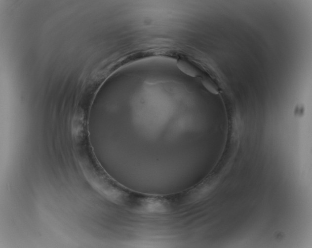 X0000113050073200908271541