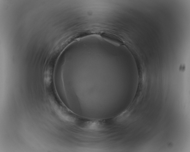 X0000113050074200908271541