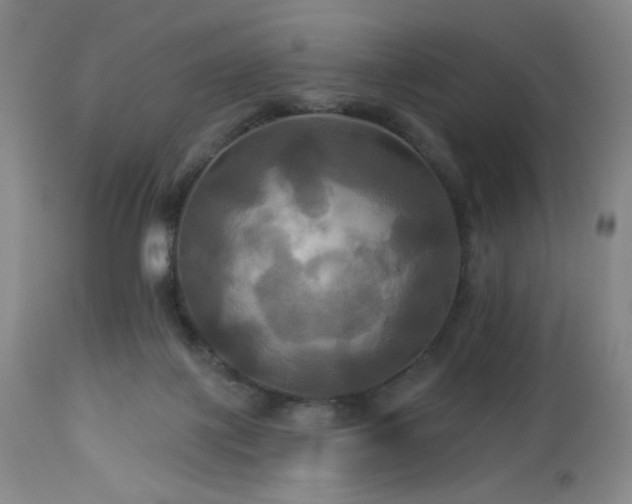 X0000113050075200908271541