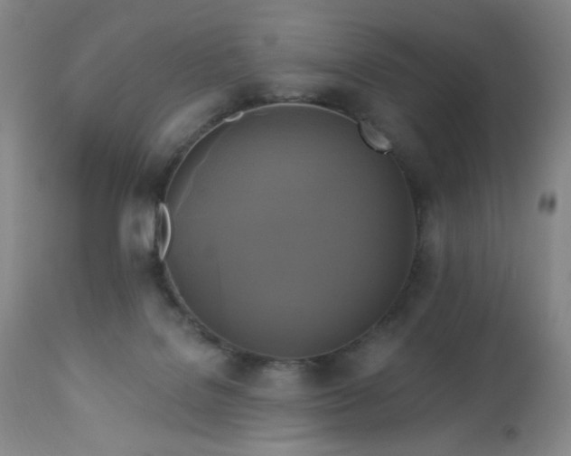 X0000113050076200908271541