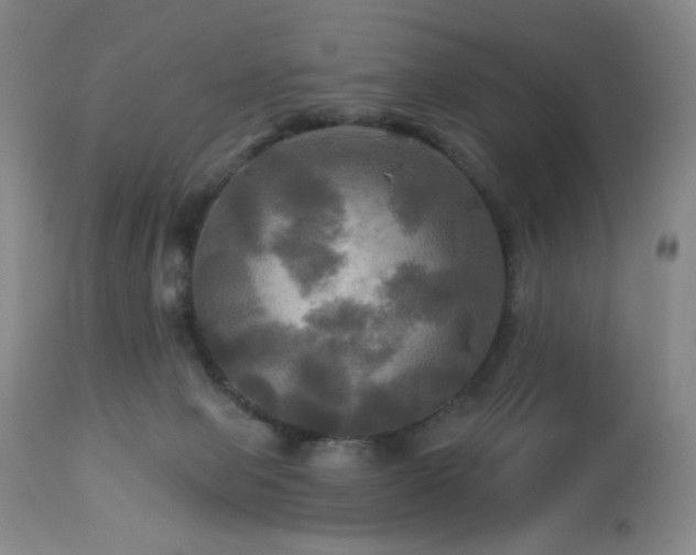 X0000113050077200908271541