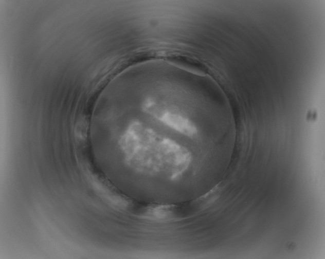 X0000113050078200908271541