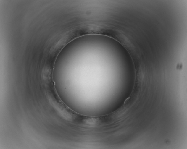 X0000113050079200908271541