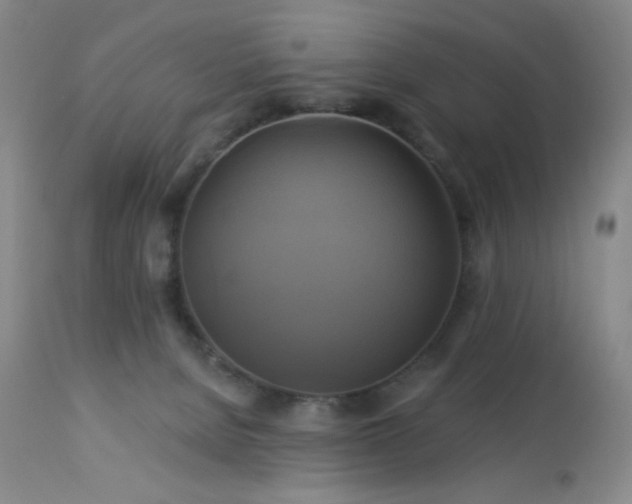 X0000113050080200908271541