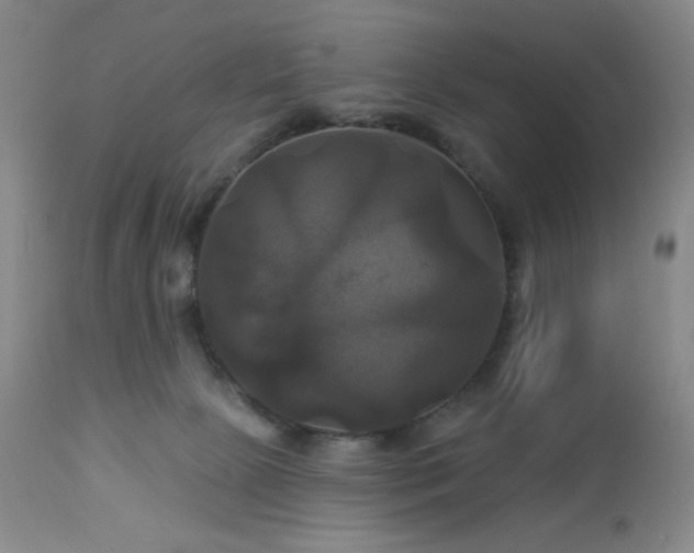 X0000113050081200908271541